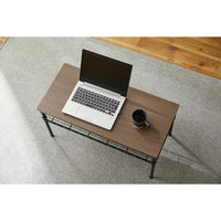 アイリスオーヤマ カラーメタルラック テーブル 幅760×奥行360×高さ400mm ブラック 1台（直送品）