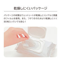 ウェットティッシュ ノンアルコール 除菌ウェットティッシュ ふた付き 本体 1セット（80枚入×3個） ドウシシャ