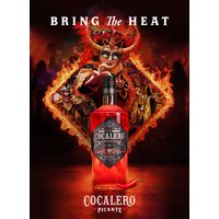 コカレロ ピカンテ 29度 700ml 1本 リキュール 国分 正規品