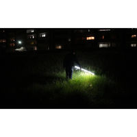 日本防災スキーム 防災用直管型LED ライトブレードtsuita EG13NW21LM-BS 1個（直送品）