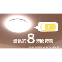 日本防災スキーム 防災用シーリングライト 天照(アマテラス)tsuita TC102 1個（直送品）