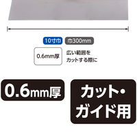 シンワ測定 地ベラ ステンレス 10寸巾 79210 1個（直送品）