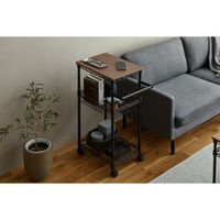 アイリスオーヤマ カラーメタルラック ワゴン 幅500×奥行310×高さ840ｍｍ ブラック 1台（直送品）