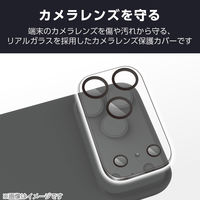 iPhone 17 Pro Max カメラレンズカバー 高透明 ブラック PM-A25DFLLP1CRN エレコム 1個（直送品）