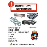 エビスファスナー エビスチップソー 軟鋼材用 185mm EFN185 1パック(2枚)（直送品）