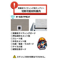 エビスファスナー エビスチップソー 窯業系サイディング用 オールダイヤモンド 100mm EFP100 1パック(1枚)（直送品）