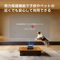 JMGO PicoPlay+ バッテリースタンドセット J61-7K4 Standset 1セット（直送品）