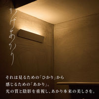 ムサシ かげあかり02 梅墨 KA-02UZ 1個（直送品）