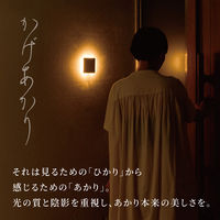 ムサシ かげあかり03 梅墨 KA-03UZ 1個（直送品）