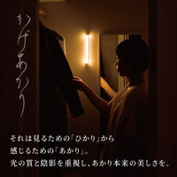 ムサシ かげあかり06 白練 KA-06SN 1個（直送品）