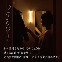 ムサシ かげあかり06 梅墨 KA-06UZ 1個（直送品）