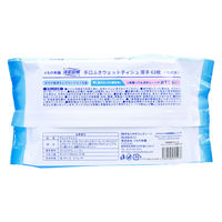 iiもの本舗 清潔習慣 手口ふき ウェットティシュ 厚手 63枚入 4589596695938 1袋（直送品）
