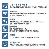 エアージェイ iPhone17/17 Pro用 ブルーライトカット 液晶保護フィルム VF-P25-BL 1枚（直送品）