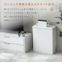 武田コーポレーション ゲーム収納ボックス コンセント付き LN-H6-TS50WH 1箱(4個入)（直送品）