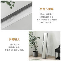 武田コーポレーション スタンドミラー24 ストーン調BK STD-24SBK 1箱(4個入)（直送品）