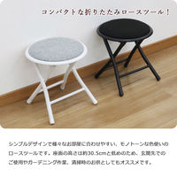 エイ・アイ・エス 折畳ロースツール ブラック AHFL-03x6pcs BK 1セット(6脚入)（直送品）