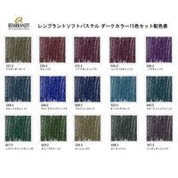 ターレンスジャパン レンブラントソフトパステル15色ダークカラーセット 408796 1個（直送品）