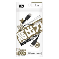 カシムラ USB充電&同期ケーブル 1m C-C 100W AJ-674 1個（直送品）