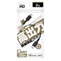 カシムラ USB充電&同期ケーブル 2m C-C 100W AJ-675 1個（直送品）