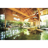 ユナイテッドスペース EXETIME PLATINUM★10(無期限) 25209001 1個（直送品）