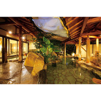 ユナイテッドスペース EXETIME GOLD(無期限) 25109001 1個（直送品）