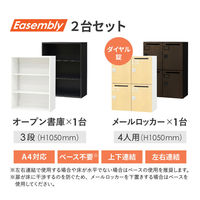 Netforce イーセンブリー 書庫1台+ロッカー1台 4人用 3段 鍵付き 幅800mm ダークブラウン 1セット（直送品）