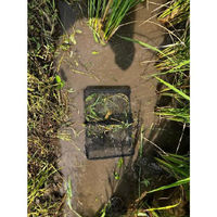 エーワン ザリガニ・タニシ全員集合!折りたたみ式タニシカゴ MD-2330 1台（直送品）