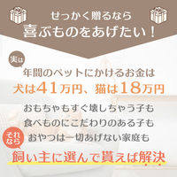 ロワール 【熨斗包装付】ペットペットペットギフカ カタログギフト カード20000ポイント PG020000C 1個（直送品）