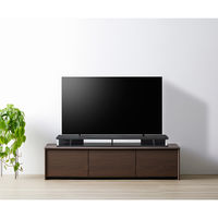 【軒先渡し】ちょい足しラック 幅1250×奥行360×高さ105mm ブラック 1台（直送品）