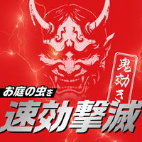 園芸用品 殺虫剤 スプレー アースガーデン お庭の虫コロリ プロ 鬼効きジェット 480mL 1セット（1本×5） 害虫駆除剤 対策 アース製薬