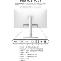 JAPANNEXT 23.8インチ ワイド 4K液晶ディスプレイ JN-IPS238U-HSPC6-W 1台（直送品）