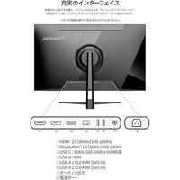 JAPANNEXT 31.5インチ ワイド 4K液晶ディスプレイ JN-IPSB315U-C6 1台（直送品）
