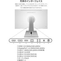 JAPANNEXT 27インチ ワイド 4K液晶ディスプレイ JN-IPST27U-FLDC6 1台（直送品）