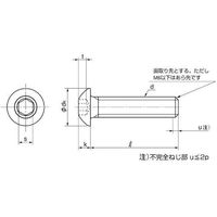 SUNCO ボタンCAP(日産ネジ JIS B 1174 3×12 (1000本入) A0-00-100N-0030-0120-00（直送品）