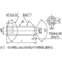 SUNCO HS(日産ネジ くぼみ先 20×70 (20本入) A0-00-500N-0200-0700-00 1箱(20本)（直送品）
