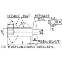 SUNCO HS(アンスコ(棒先 12×20 (200本入) A0-00-503A-0120-0200-00 1箱(200本)（直送品）