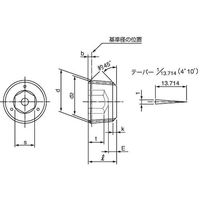 SUNCO プラグ(沈みNPTF DB 1/8 (500本入) A0-00-5740-8010-0000-00 1箱(500本)（直送品）
