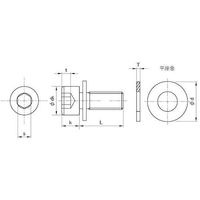 SUNCO ニッケル 10.9CAP P=1 5×25 (300本入) A0-00-9010-0050-0250-05 1箱(300本)（直送品）