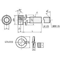 SUNCO ニッケル 10.9CAP P=2 6×16 (300本入) A0-00-9020-0060-0160-05 1箱(300本)（直送品）