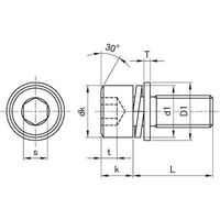 SUNCO クローム 10.9CAP I=3 5×25 (300本入) A0-00-9130-0050-0250-06 1箱(300本)（直送品）