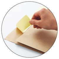 ストア・エキスプレス 【200枚】宅配用紙袋 未晒 クラフト角底袋 宅配袋 大 宅配100サイズ 36129-15 1セット(200枚)（直送品）