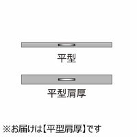 ストア・エキスプレス 【50本】平型スチール製ハンガー ブラック 平型肩厚 幅38cm 7270-18010 1セット(50本)（直送品）