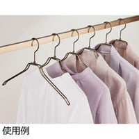 ストア・エキスプレス 【50本】平型スチール製ハンガー アンティークゴールド 平型 幅42cm 7270-18013 1セット(50本)（直送品）