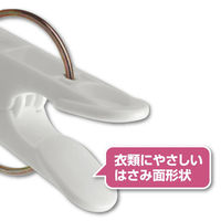 ニシダ 衣類にやさしいピンチAP 10P 1個（直送品）