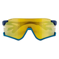 サングラス 鼻パッドがないスポーツサングラスAF-306 C-1REブルーマット ゴールドミラーシリンダーレンズ装着 AF306C1（直送品）