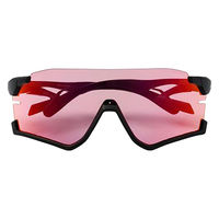 Airfly(エアフライ) スポーツサングラスAF306_C2 AF306C2 1本（直送品）