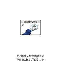 オーエッチ工業 ラッシングベルト LBR300W SB10-30SB 1本(1個)（直送品）