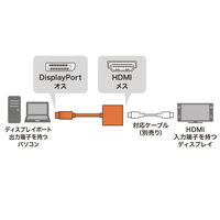 サンワサプライ DisplayPort-HDMI変換アダプタ AD-DPHD04 1個