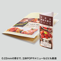 サンワサプライ カラーレーザー用 耐水紙・特厚 LBP-WPF22MDPN 1冊（直送品）