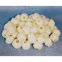 創＆遊 ふわふわビーズ 白 小 ぼんてん FB-250-010 1セット（5袋）